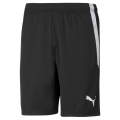 Puma sports shorts teamLIGA shorts short black men